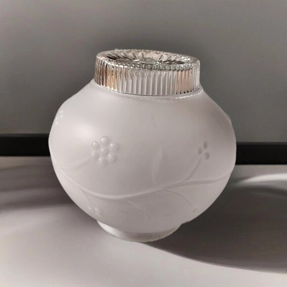 Globe Other - Lamp Shade Frosted Glass Ceiling Light Fixture Globe Stem Berries 3.25" Fit.